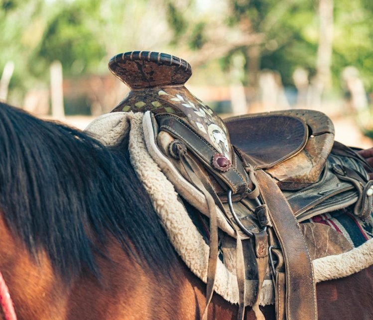 A well-worn western saddle on a horse